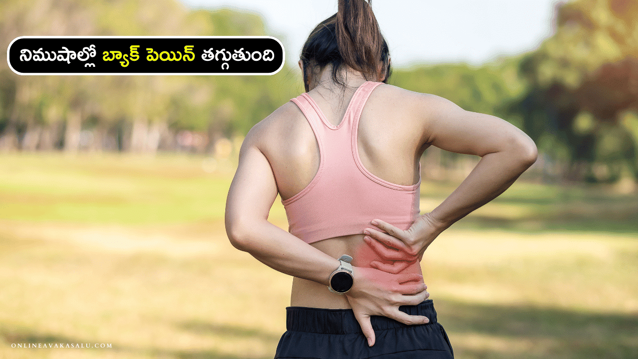 Exercises to Reduce Back Pain in Telugu - నిముషాల్లో బ్యాక్ పెయిన్ తగ్గుతుంది