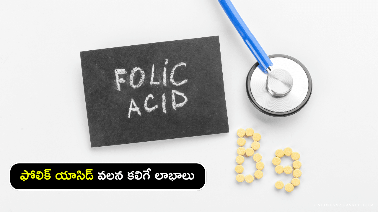 Health Benefits of Folic Acid - ఫోలిక్ యాసిడ్ వలన కలిగే లాభాలు