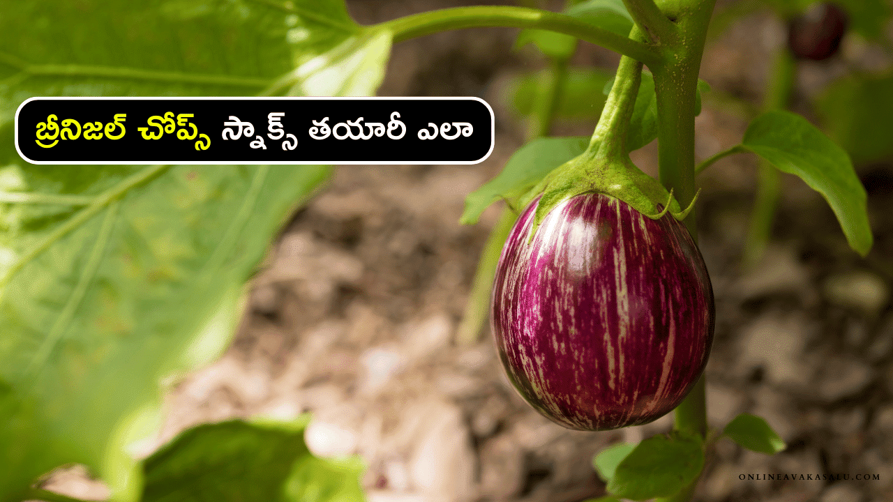 How to Make Brinjal Chops Snacks in Telugu - బ్రీనిజల్ చోప్స్ స్నాక్స్ తయారీ ఎలా