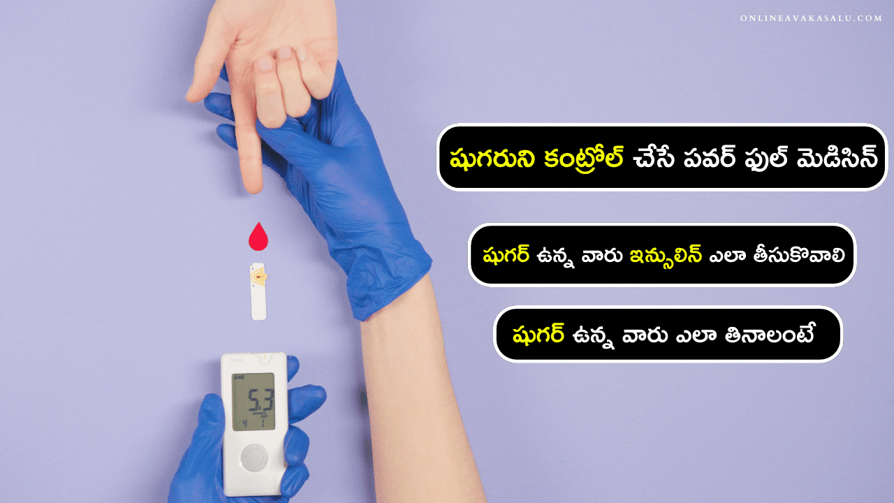 How to Reduce Diabetes - షుగరుని కంట్రోల్ చేసే పవర్ ఫుల్ మెడిసిన్