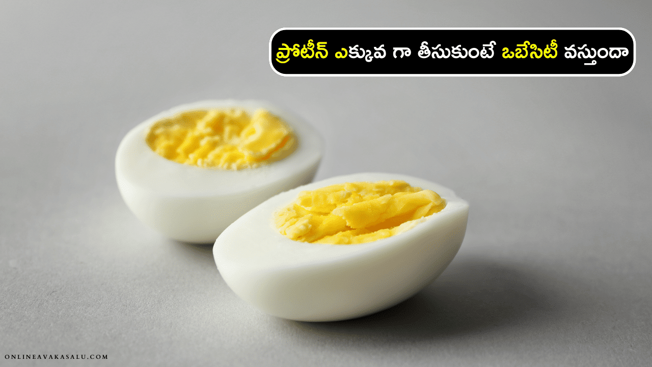 Protein Benefits - ప్రోటీన్ ఎక్కువ గా తీసుకుంటే ఒబేసిటీ వస్తుందా