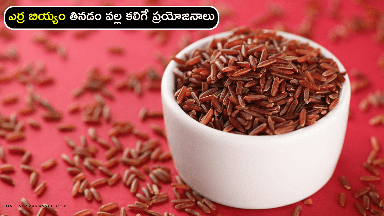 Red Rice Health Benefits - ఎర్ర బియ్యం తినడం వల్ల కలిగే ప్రయోజనాలు