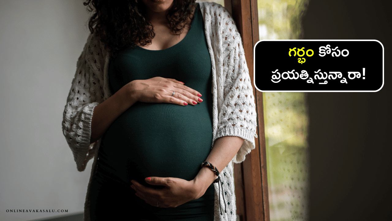 Tips to Get Pregnant Fast - సంతానలేమికి కారణాలు - చికిత్సలు