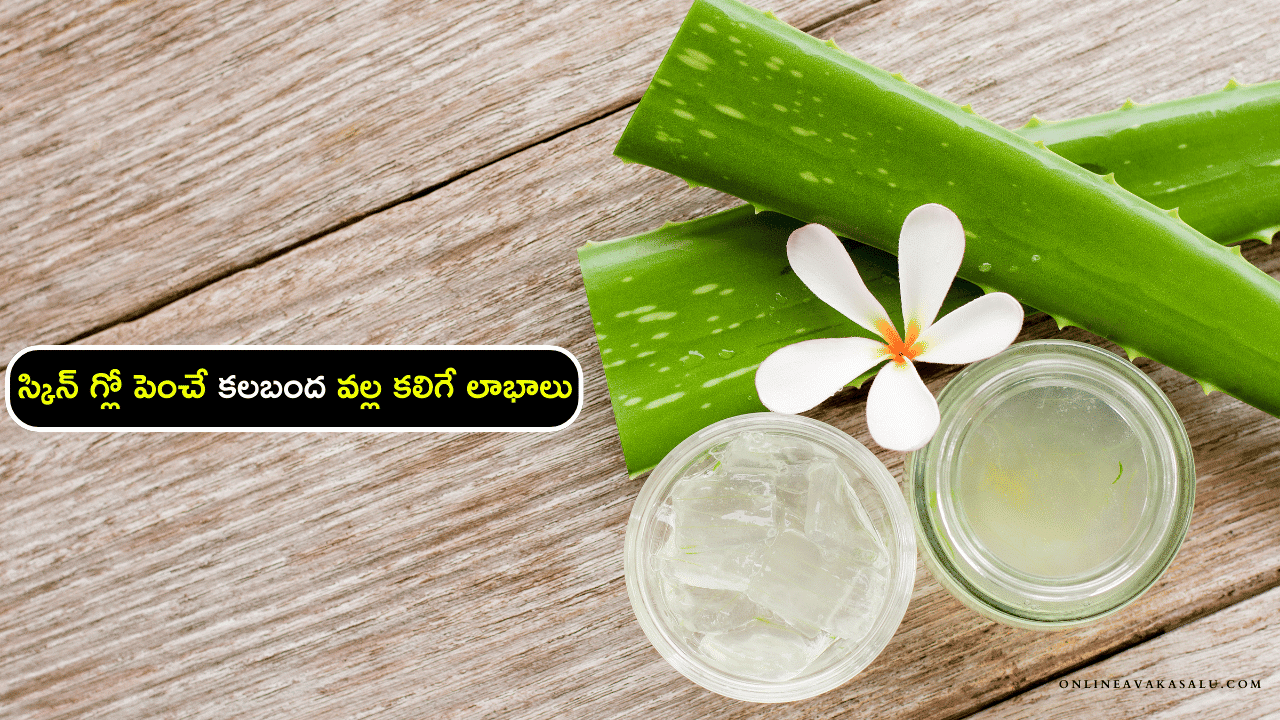 అలోవెరా (కలబంద) తో చర్మ సంరక్షణ - Skin Care With Aloe Vera