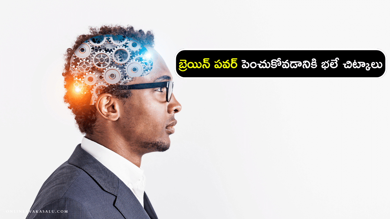 Brain Power : బ్రెయిన్ పవర్ పెంచుకోవడానికి భలే చిట్కాలు