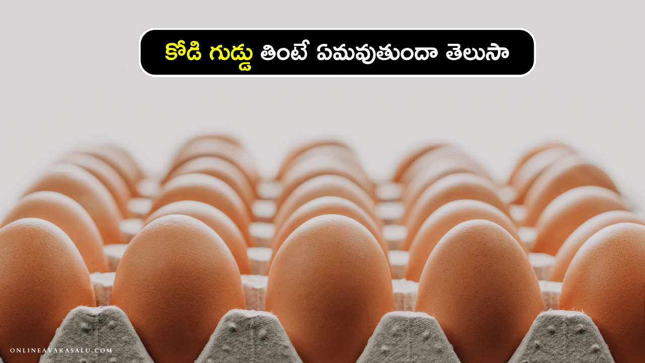 Egg Benefits : కోడి గుడ్డు తింటే ఏమవుతుందా తెలుసా