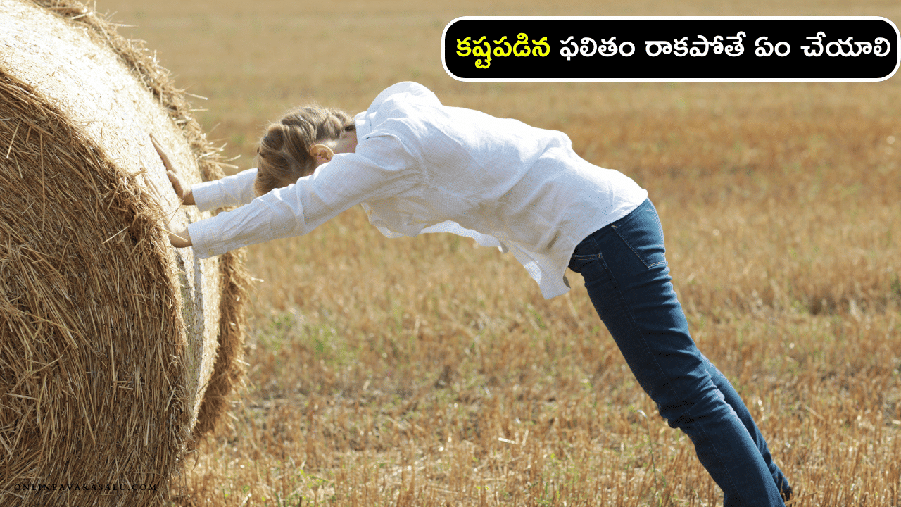 Hard work కష్టపడిన ఫలితం రాకపోతే ఏం చేయాలి