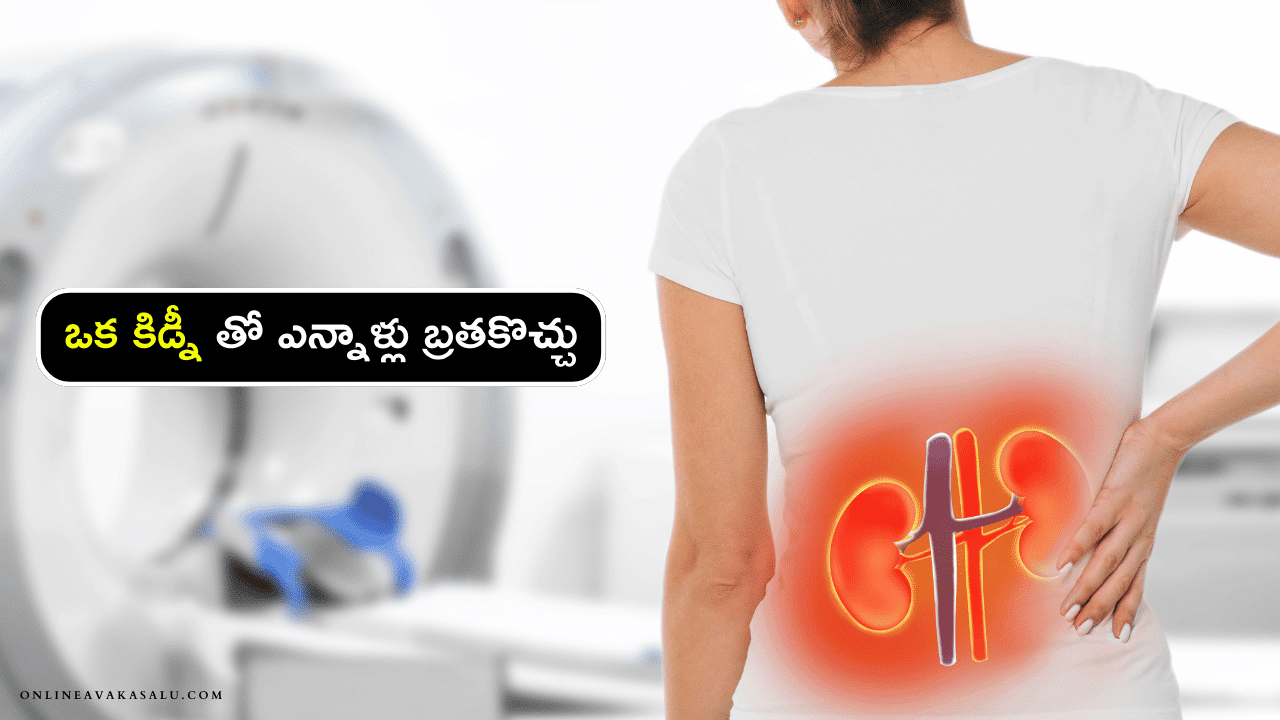 Kidneys Health : ఒక కిడ్నీ తో ఎన్నాళ్లు బ్రతకొచ్చు