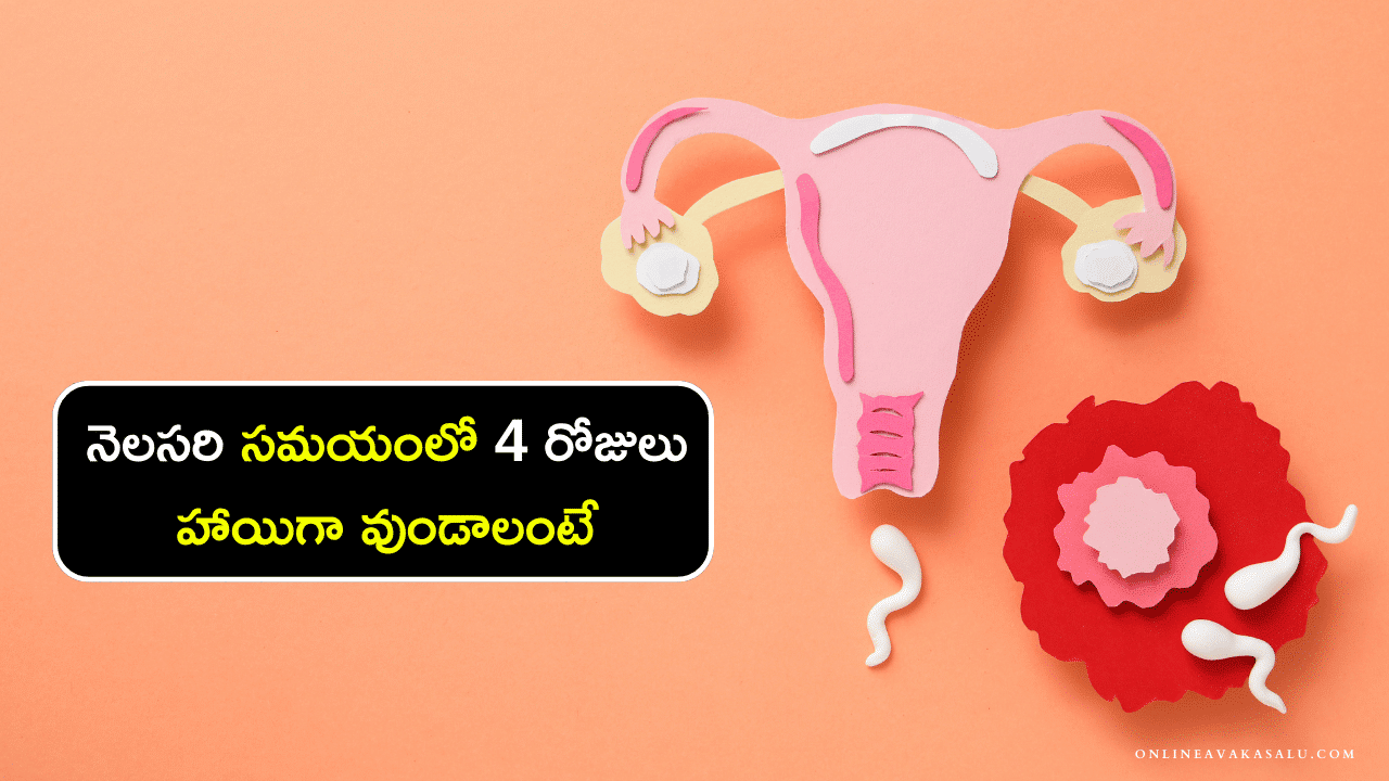 Periods : నెలసరి సమయంలో 4 రోజులు హాయిగా వుండాలంటే