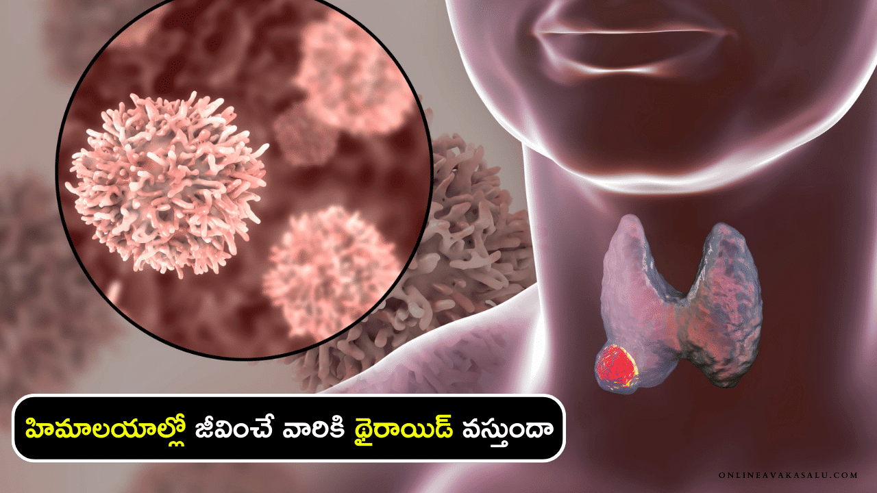 Thyroid Disease : హిమాలయాల్లో జీవించే వారికి థైరాయిడ్ వస్తుందా