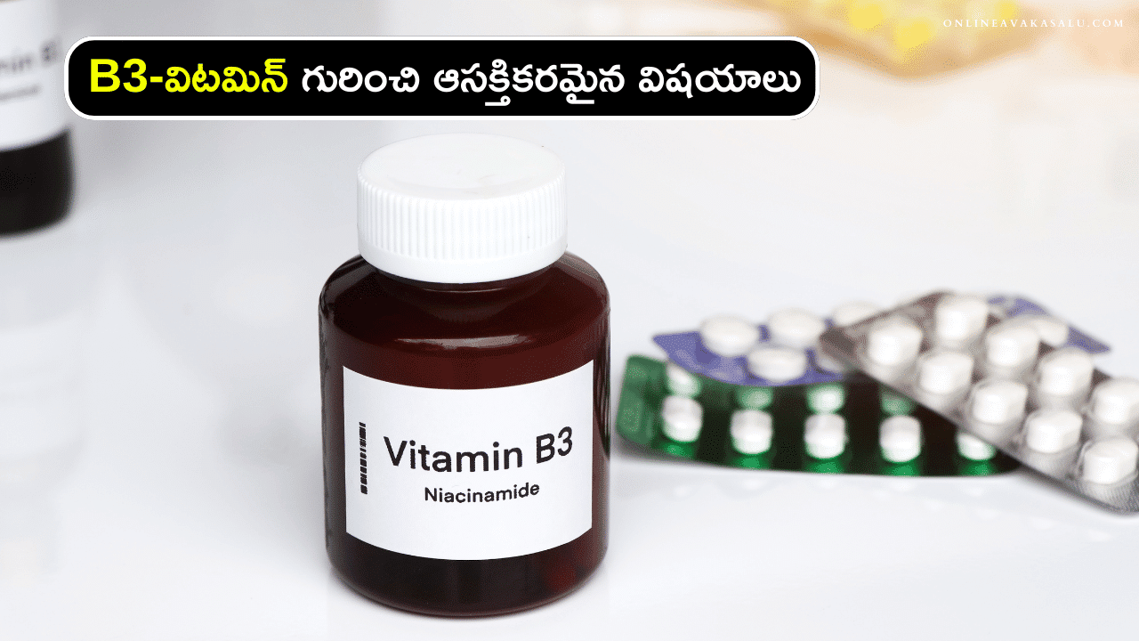 Vitamin B3 Facts - B3-విటమిన్ గురించి ఆసక్తికరమైన విషయాలు