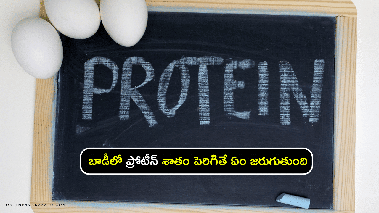 protein benefits బాడీలో ప్రోటీన్ శాతం పెరిగితే ఏం జరుగుతుంది