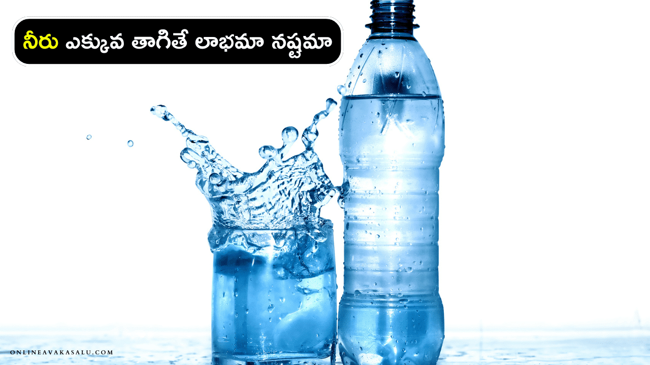 water : నీరు ఎక్కువ తాగితే లాభమా నష్టమా