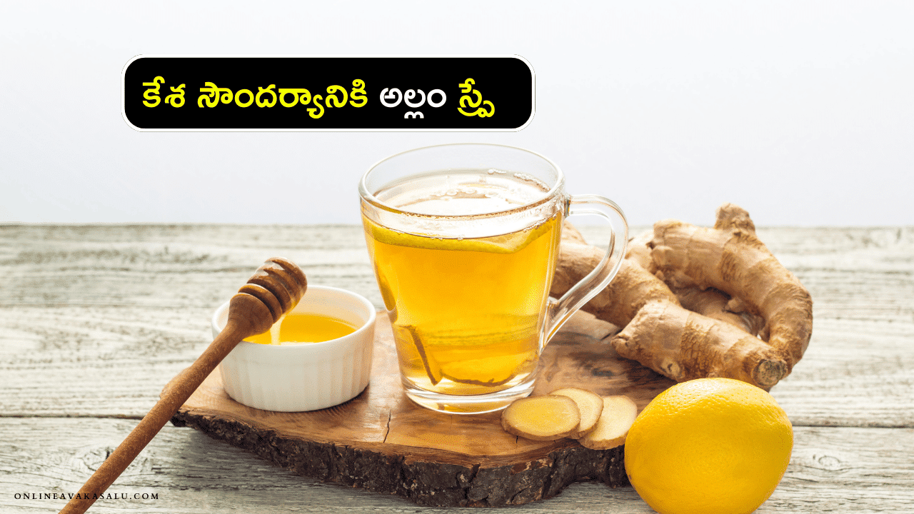 Ginger Spray : కేశ సౌందర్యానికి అల్లం స్ప్రే