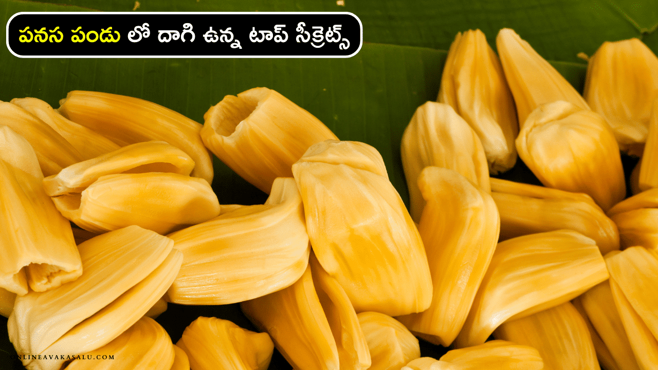 Jack fruit : పనస పండు లో దాగి ఉన్న టాప్ సీక్రెట్స్