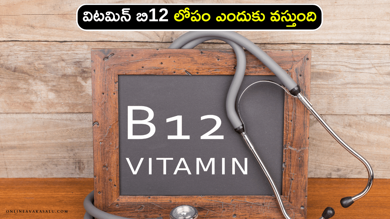 Vitamin b12 : విటమిన్ బి12 లోపం ఎందుకు వస్తుంది