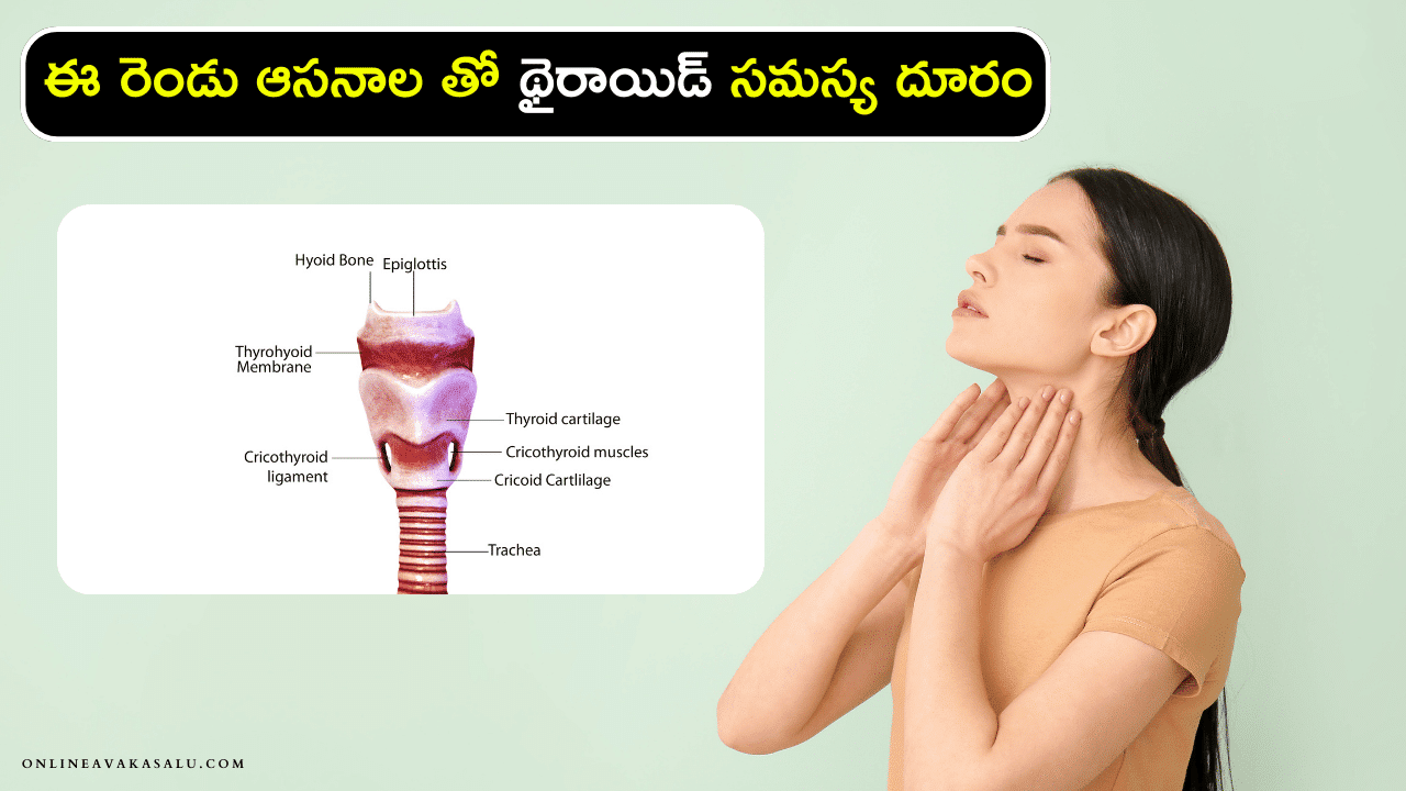 yoga for thyroid control : ఈ రెండు ఆసనాల తో థైరాయిడ్ సమస్య దూరం