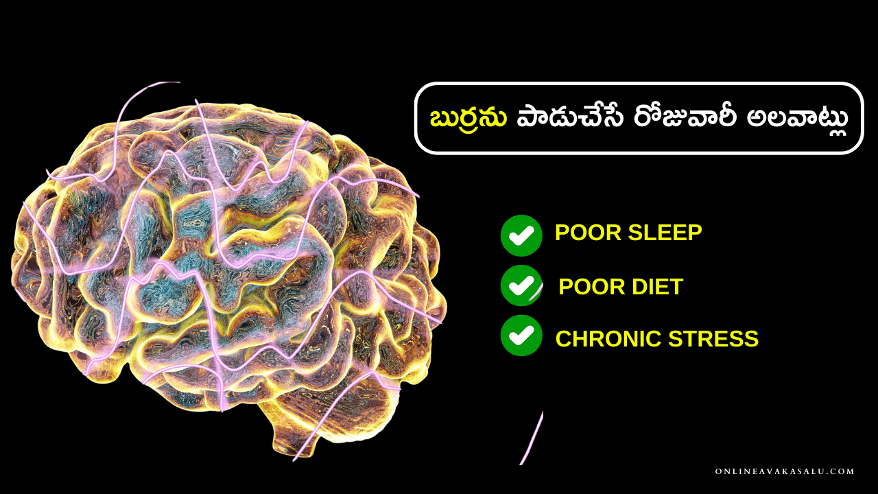 బుర్రను పాడుచేసే రోజువారీ అలవాట్లు | Brain Damage Chestunna Alavatlu