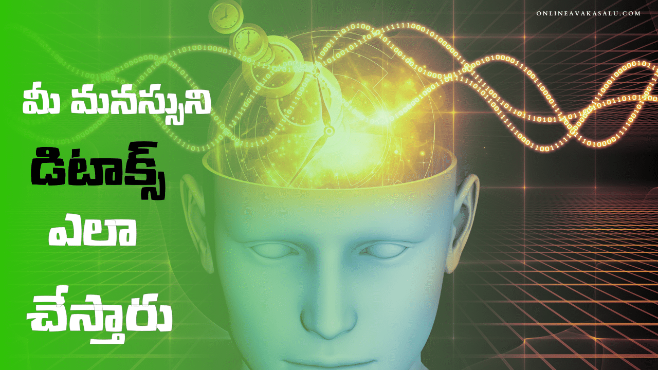 మీ మనస్సు ని డిటాక్స్ ఎలా చేస్తారు | Mind Detox in Telugu