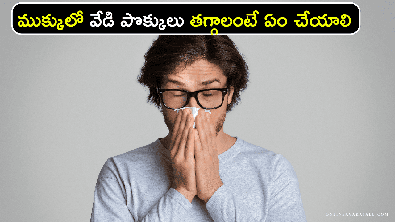 Dry Nose Prevention ముక్కులో వేడి పొక్కులు తగ్గాలంటే ఏం చేయాలి