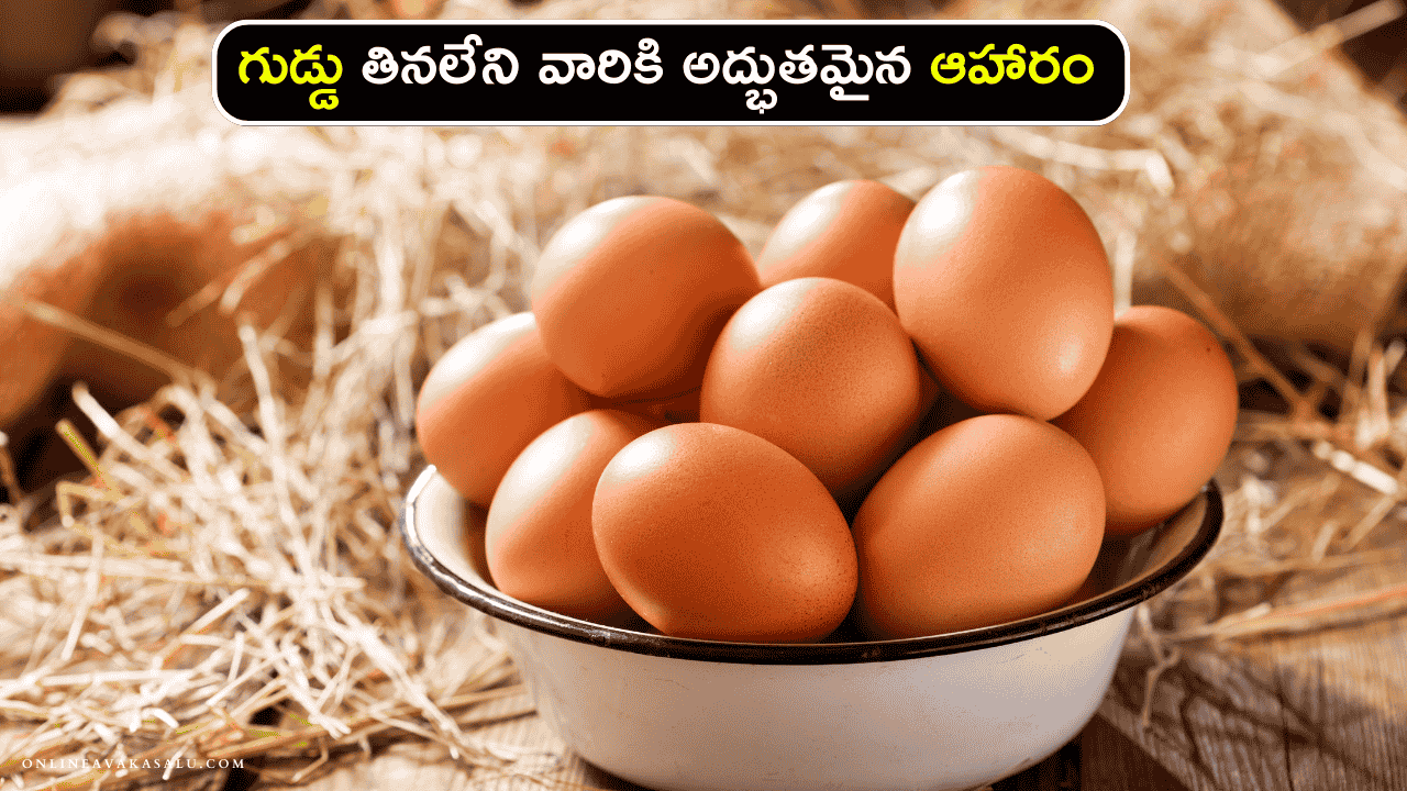 Egg for Good Health : గుడ్డు తినలేని వారికి అద్భుతమైన ఆహారం