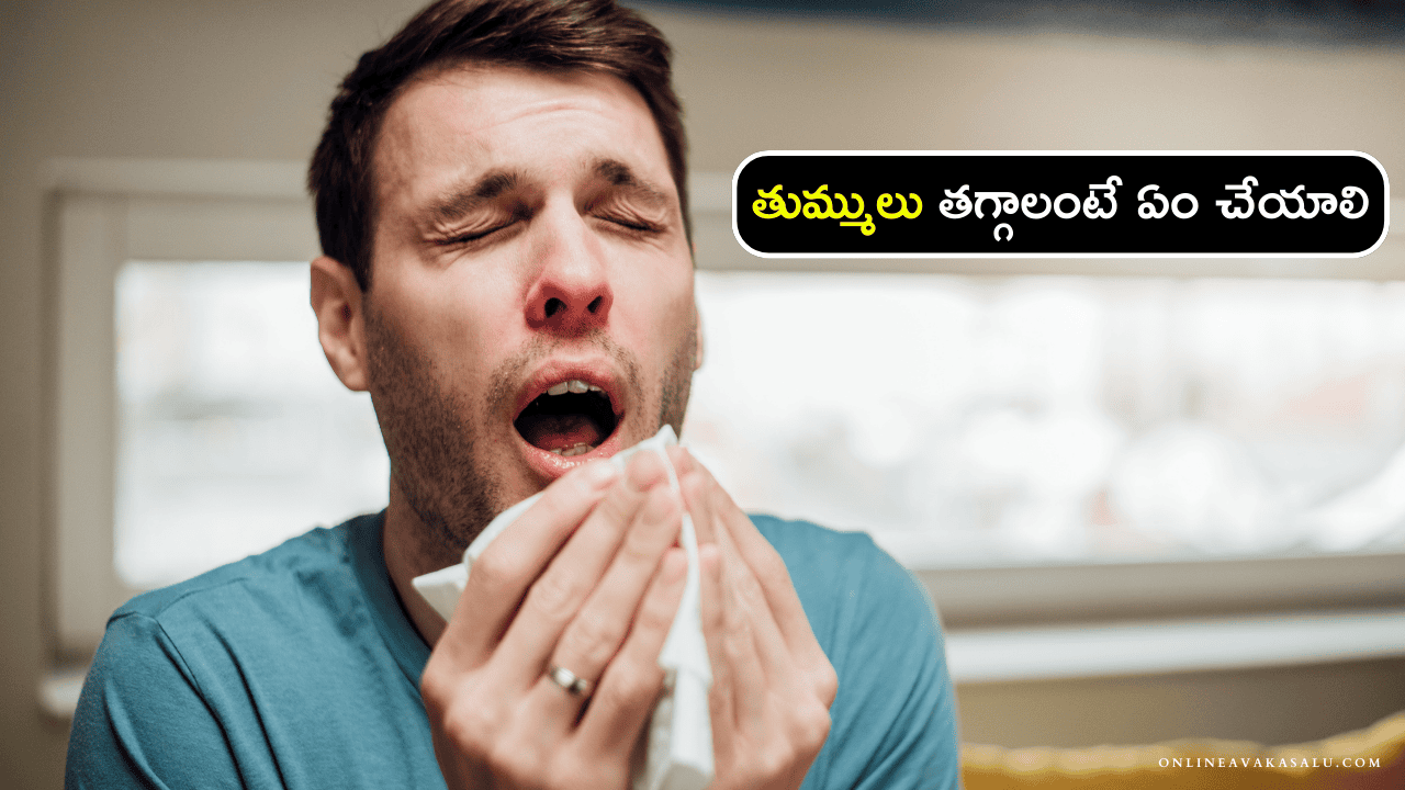 How to Stop Sneezing : తుమ్ములు తగ్గాలంటే ఏం చేయాలి