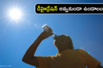 Tip to Prevent Dehydration : డీహైడ్రేషన్ అవ్వకుండా ఉండాలంటే ఏం చేయాలి