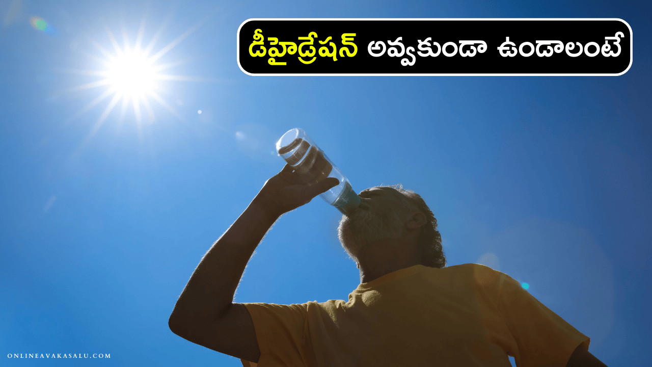 Tip to Prevent Dehydration : డీహైడ్రేషన్ అవ్వకుండా ఉండాలంటే ఏం చేయాలి