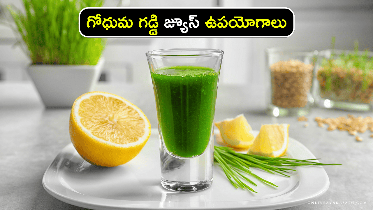 Wheat Grass Juice Benefits : గోధుమ గడ్డి జ్యూస్ ఉపయోగాలు